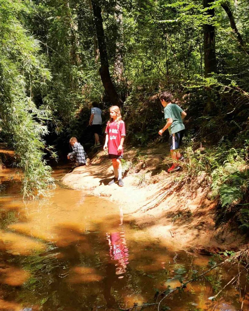 nature school fairhope organic alabama