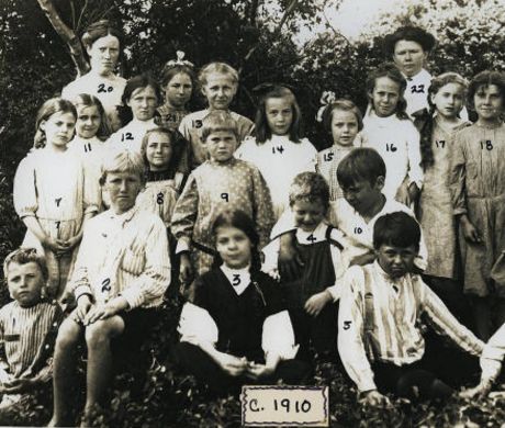 fairhope organic school beginning
